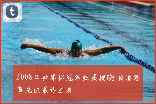 2008年世界杯冠军归属揭晓 南非赛事见证最终王者