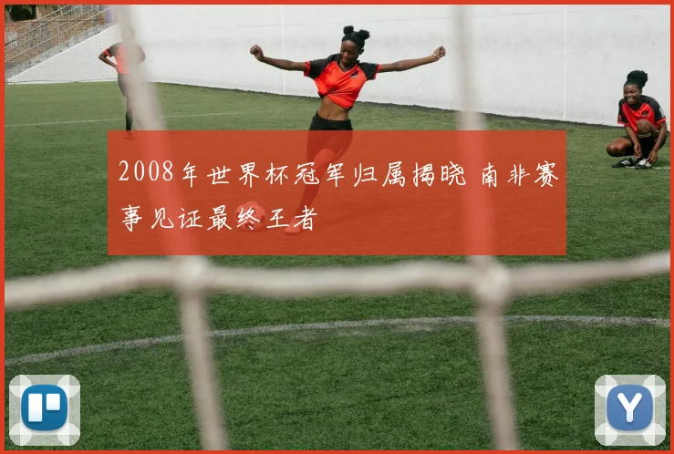 2008年世界杯冠军归属揭晓 南非赛事见证最终王者