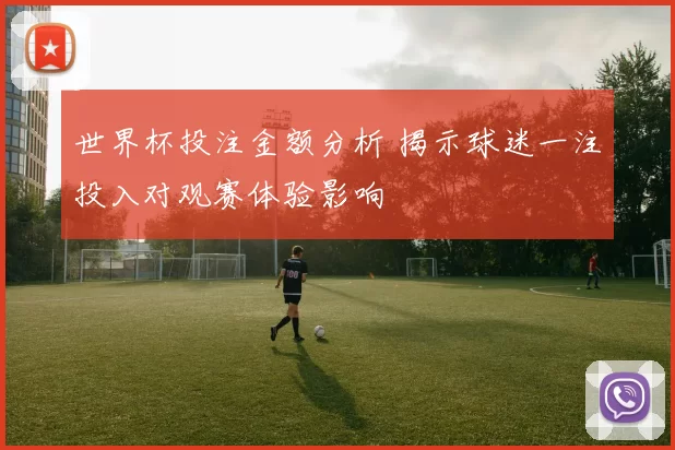 世界杯投注金额分析 揭示球迷一注投入对观赛体验影响