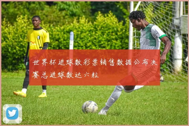 世界杯进球数彩票销售数据公布决赛总进球数达六粒