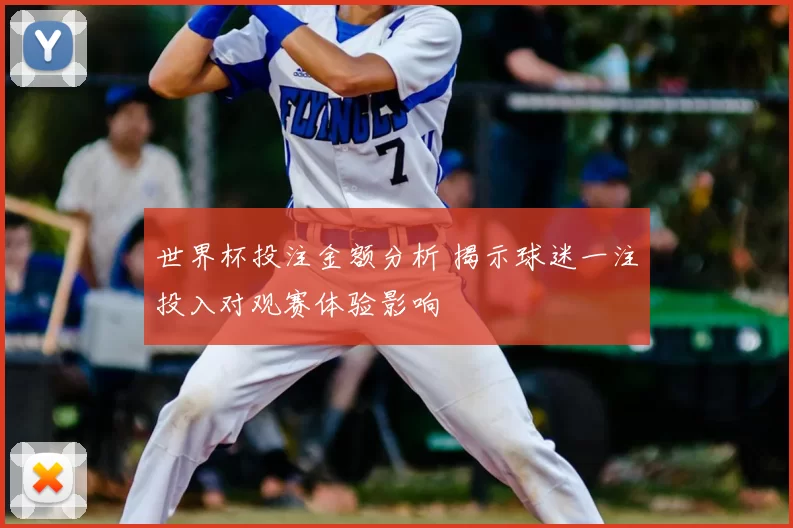 世界杯投注金额分析 揭示球迷一注投入对观赛体验影响